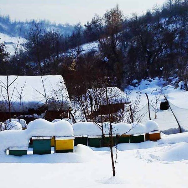 Na obroncima Bilogore